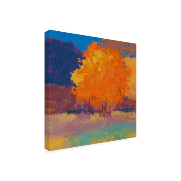 Mike Kelly 'Orange Maple Trees' Canvas Art,24x24